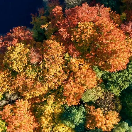 Lägenhet Parkresidenz Lychen, 5