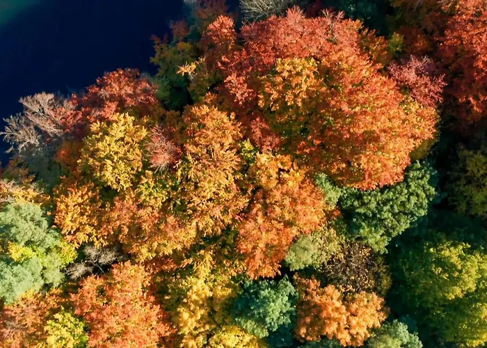 アパート Parkresidenz Lychen, 5